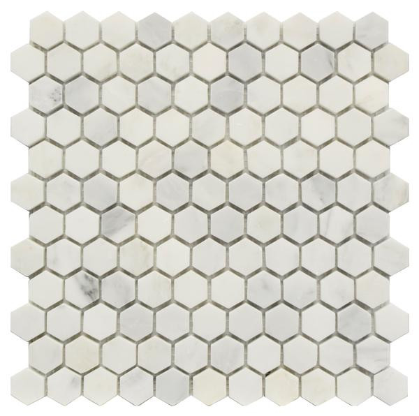 Statuary Carrara White Marble 1" Hexagon Mosaic Honed 12x12 - EACH