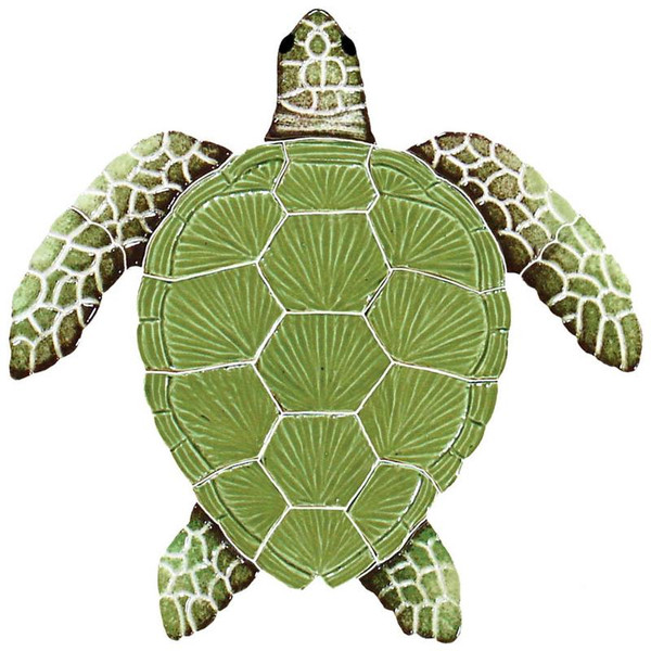 Turtle Loggerhead Green Small 8x8" - EACH