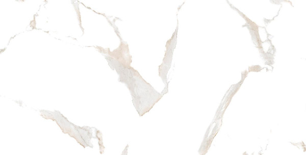 Domus Bianco Polished Porcelain Tile 32x32 - CASE