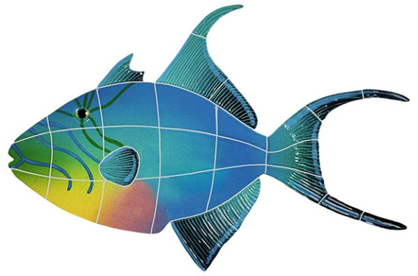 Queen Triggerfish 12x18inch - EACH