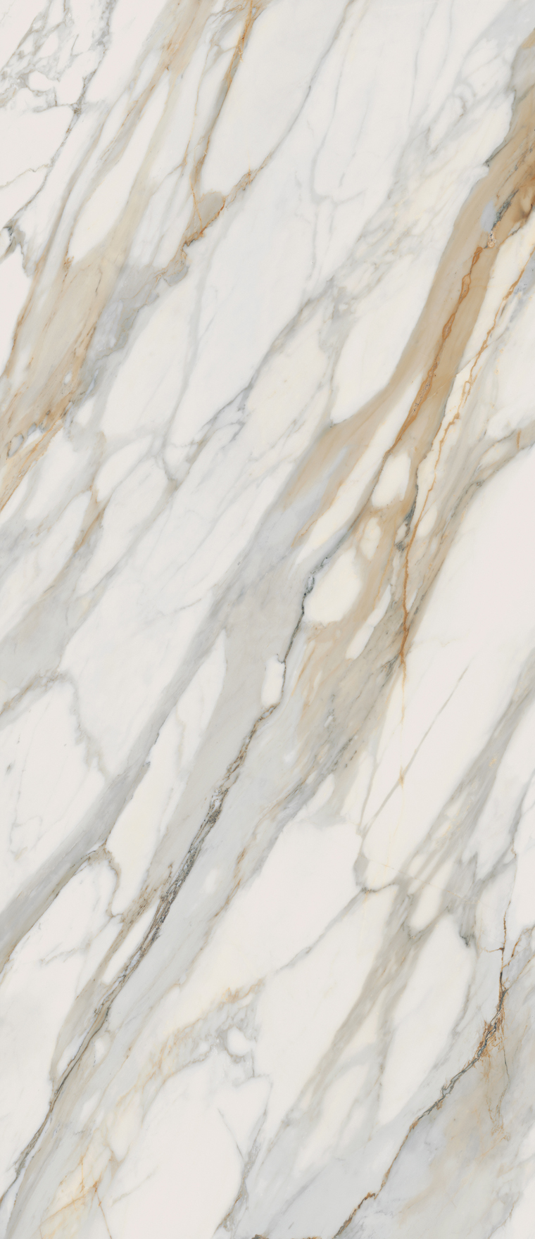 Perpetual Venato Gold Perpetual Venato Gold