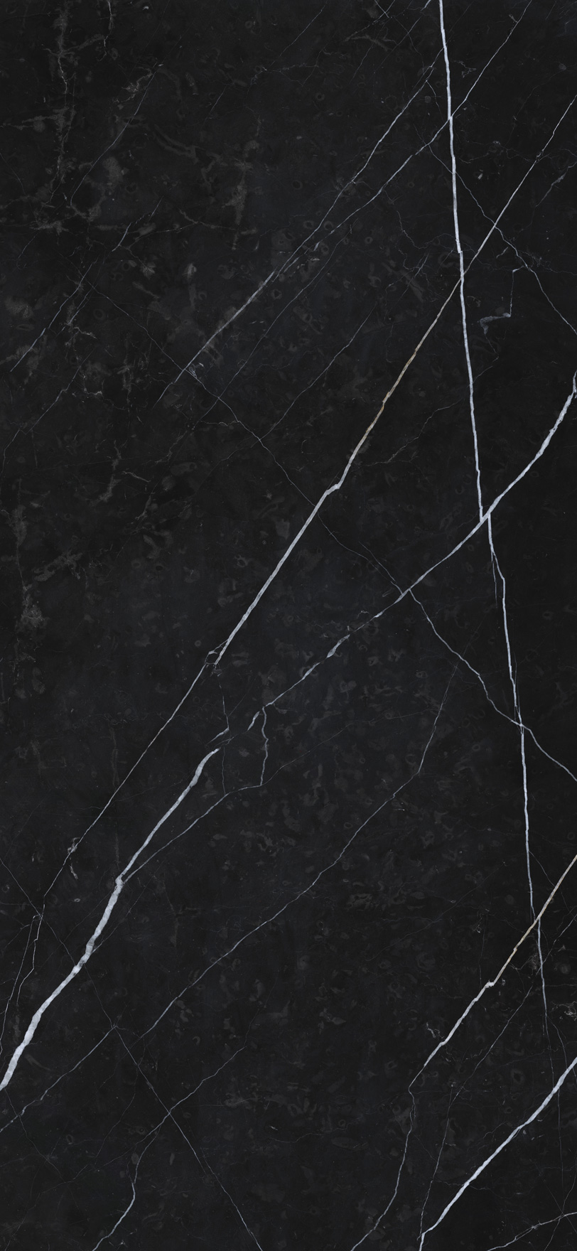Delight Marquina Nero Polished