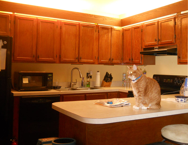 Before the cabinetry makeover