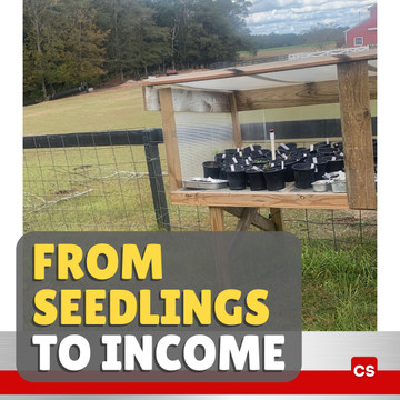 How Small Things Create Value