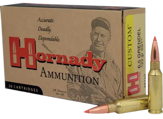 Hornady Custom, Horn 8152   Custom      6.5grn  123 Sst      20/10
