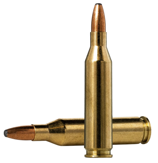 Norma Ammunition (ruag) Oryx, Norma 20160332 243 100gr Oryx 20/10 2A Warehouse