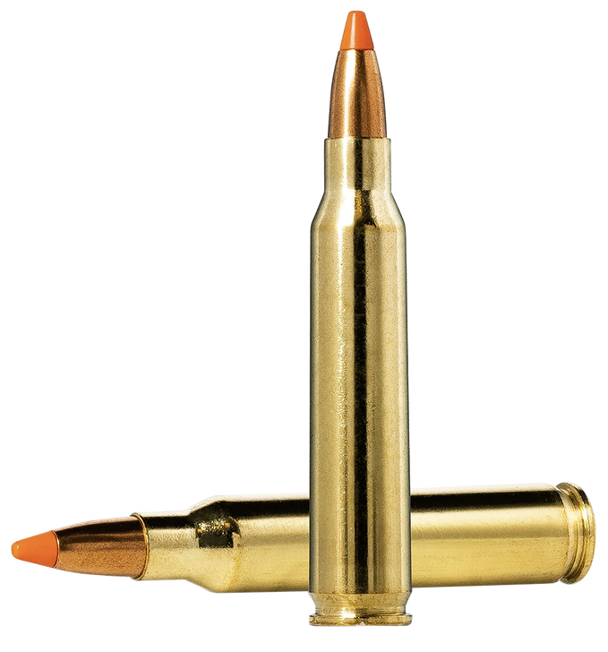 Norma TIPSTRIKE Varmint .223 Remington 55gr Brass Cased - Rifle Ammo - 20RD Box - 20157352