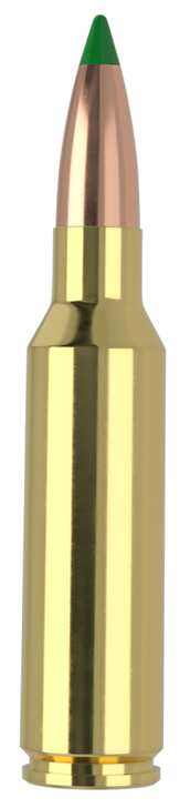 Nosler Ballistic Tip .300 Winchester Short Magnum 165 Grain Boat Tail Soft Point Brass Cased - Rifle Ammo - 20RD Box - 61035