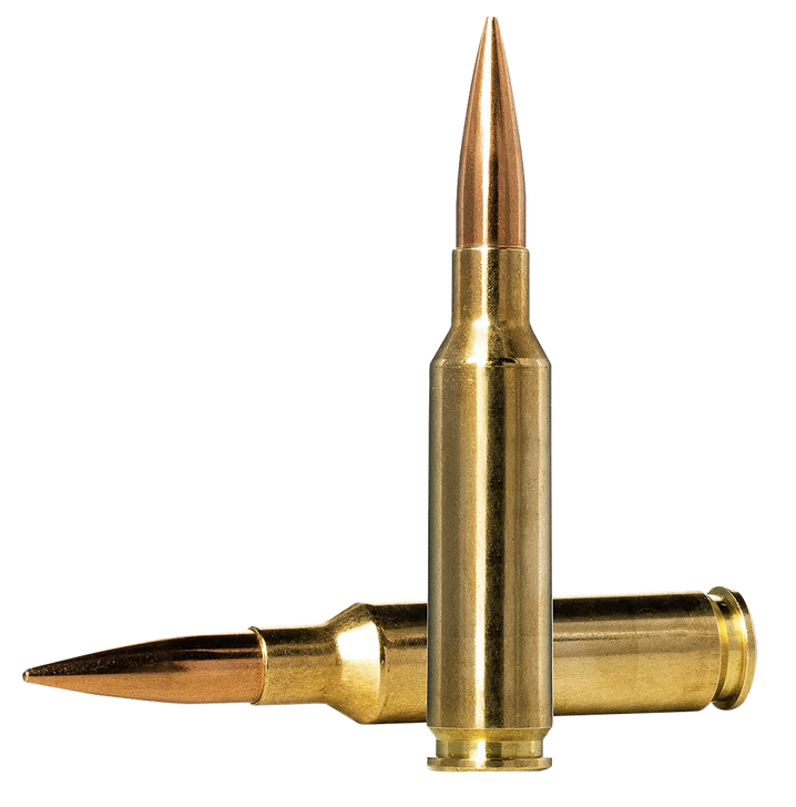 Norma Match  -  6.5mm Creedmoor 130 Grain Golden Target Boat Tail Hollow Point Brass Cased - Rifle Ammo - 20RD Box - 10166312
