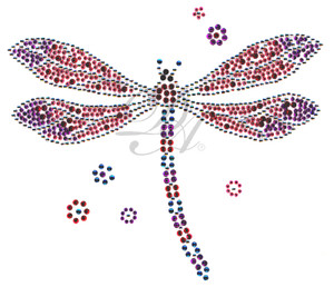 Ovrs5669 - Colorful Dragonfly