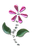 Ovrs951 - Fuchsia Flower - ON SALE! 