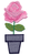 Fucshia