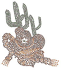 Ovrs303 -  Western Cowboy Hat and Cactus