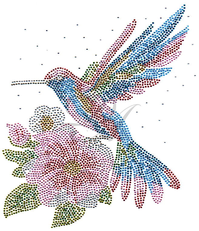 Ovrs8460 - Hummingbird sitting on a Camellia Flower