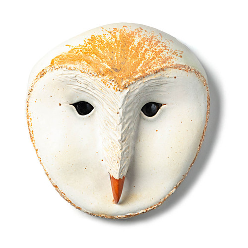 Owl Head Owl Head