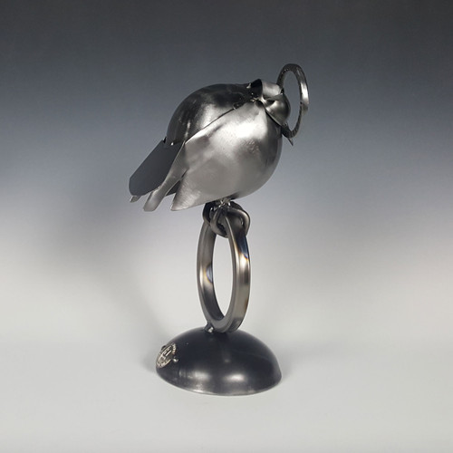 chubby owl on ring side chubby owl on ring side