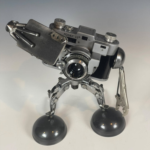 Selfie - Small - Kodak 35 Selfie - Small - Kodak 35