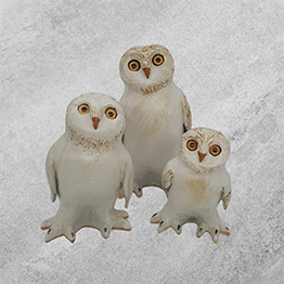 Owls