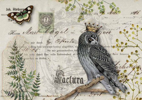 Decoupage Queen Owl Botanicals A3 Rice Paper
