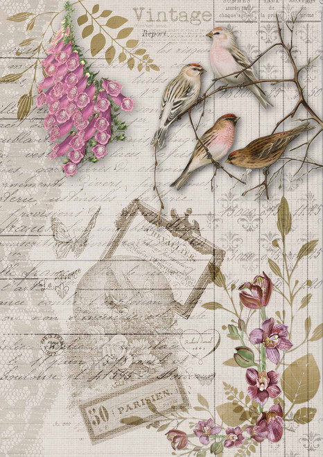 Decoupage Queen Birds and Orchids A4 Rice Paper