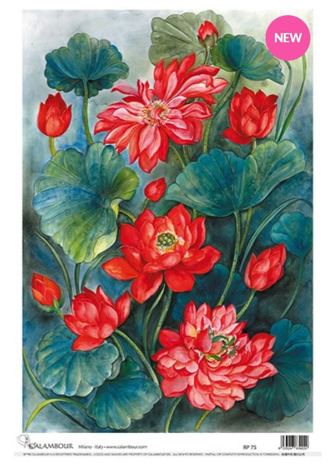 Calambour RP 75 Red Lotus Blossoms A3 Plus Rice Paper