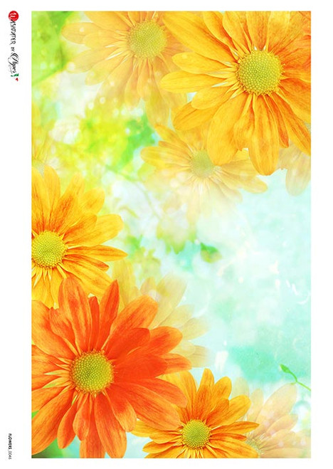 Paper Designs Pot Marigold Rice Paper for Furniture