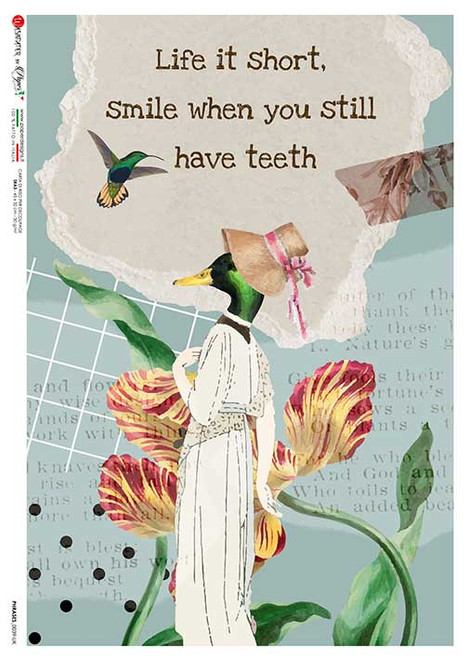 Paper Designs 0039 Smile While you have Teeth A4 Decoupage Rice Paper