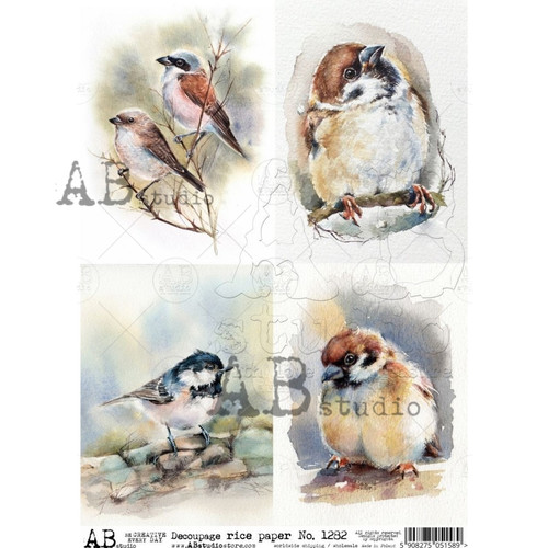 AB Studios 4 Pack Watercolor Birds A4 Rice Paper