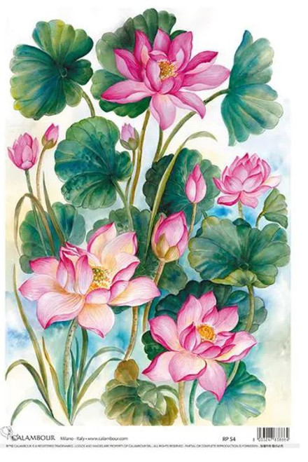 Calambour Pink Lilly Tropical A3 Rice Paper