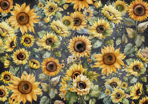 Decoupage Queen Field of A4 Sunflowers Rice Paper