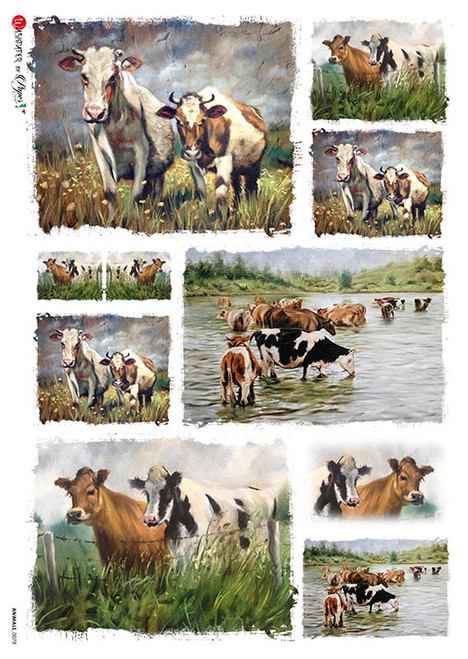 Paper Designs Mini Cow Scenes A3 Rice Paper