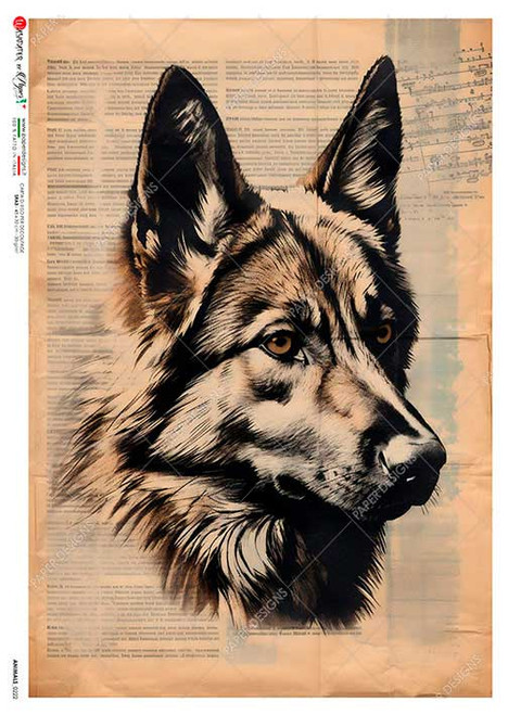 Paper Designs Dog Sketch on Encyclopedia Page A2 Rice Paper