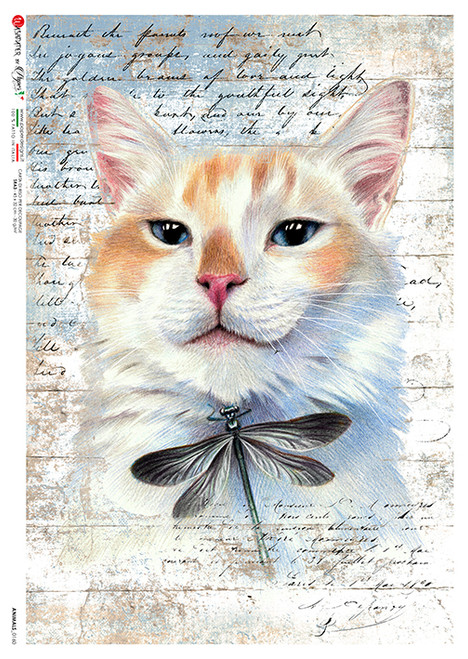 Paper Designs Cat Portrait with Dragonfly Rice Paper