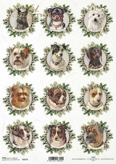 ITD Collection Twelve Round Mini Dog Portraits A4 Rice Paper