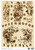 Calambour DGR 255 Sepia Cherubs A3 Decoupage Rice Paper