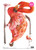 Calambour TCR 102 Large Flamingo A3 Decoupage Rice Paper