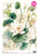 Calambour RP 80 White Lotus A3 Decoupage Rice Paper