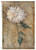 Paper Designs 0382 Dandelion Flowers A3 Decoupage Rice Paper