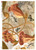 Paper Designs 0385 Floral Collage A3 Decoupage Rice Paper