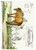 Paper Designs 0197 Horses Grazing Scene A3 Decoupage Rice Paper