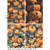 AB Studios Pumpkin Patch 4 Pack A4 Rice Paper