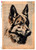 Paper Designs Dog Sketch on Encyclopedia Page A1 Rice Paper