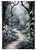 Paper Designs Dimly Lit Wooded Path A4 Rice Paper