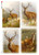Paper Designs Deer in Forest Four Pack Rice Paper