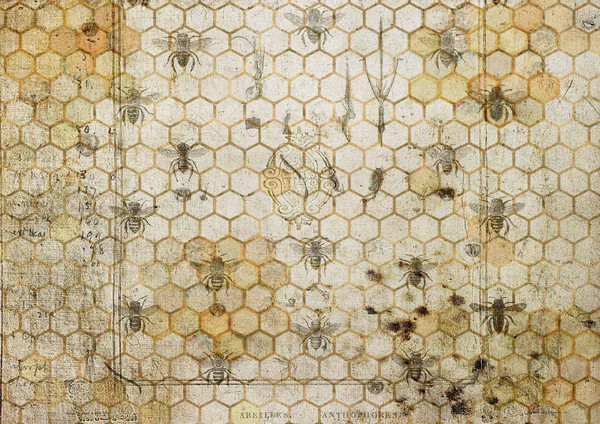 Decoupage Queen The Honeycomb Rice Paper for Furniture