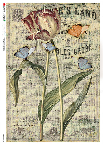 Paper Designs Flowers 0357 A4 Decoupage Rice Paper