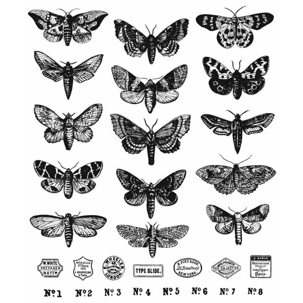 Tim Holtz Stampers Anonymous 7"x8.5" Moth Study Rubber Cling Stamp