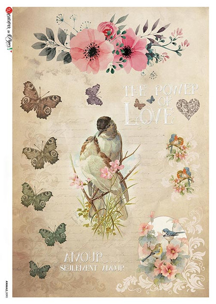 Paper Designs Bird Portrait The Power of Love A3 Rice Paper