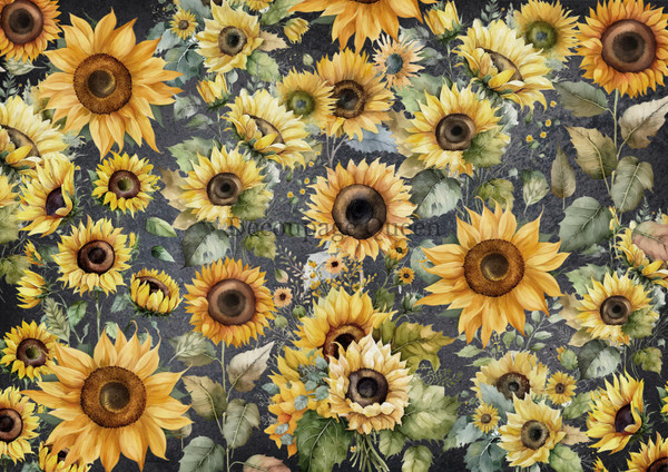 Decoupage Queen Field of A2 Sunflowers Rice Paper
