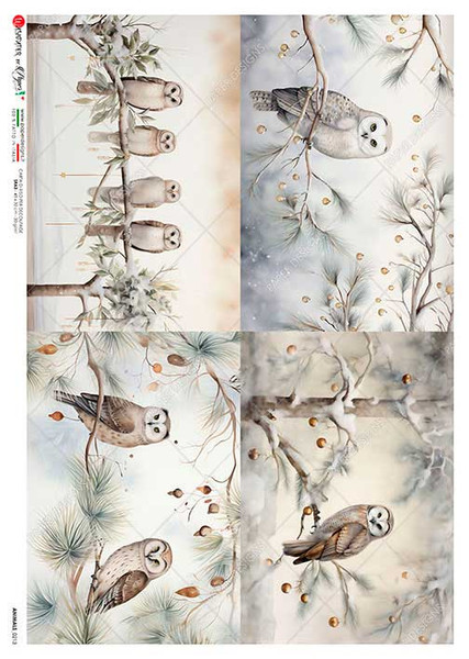 Paper Designs Four Owl Scenes A2 Rice Paper